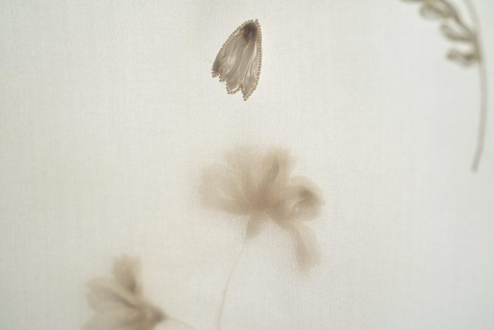 白い花びらの刺繍
